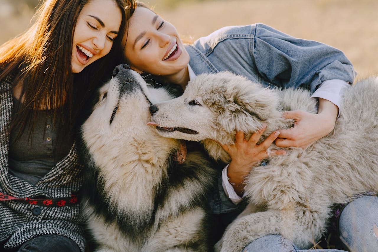 Do Dogs Really Love Their Owners? Science Explains